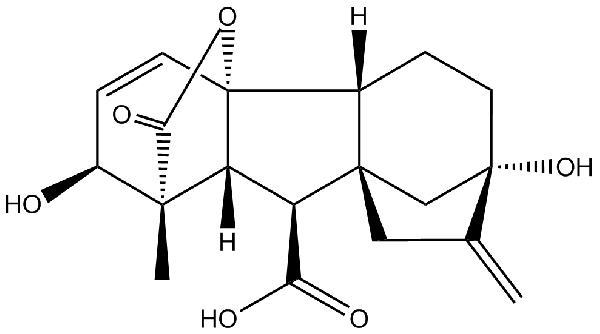 赤霉素GIBBERELLIC ACID，居然有這么神奇？